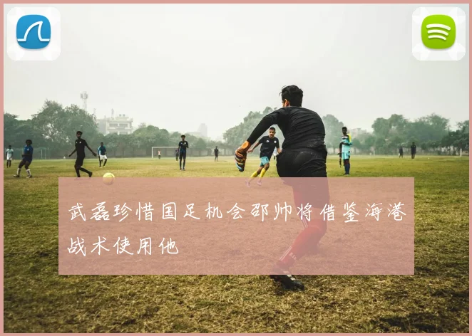 武磊珍惜国足机会邵帅将借鉴海港战术使用他