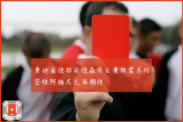 费迪南德称安德森符合曼联需求对签琼阿梅尼充满期待