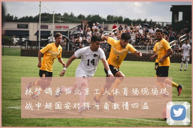 林梦鸽亲临北京工人体育场现场观战中超国安对阵河南激情四溢